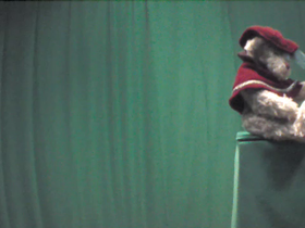 270 Degrees _ Picture 9 _ Teddy Bear Wearing Red Cape.png